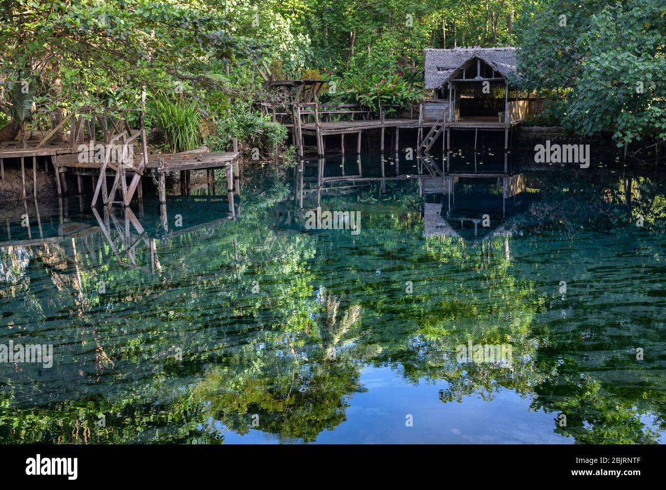 Capanna di legno nella lussureggiante foresta pluviale acqua dolce lago blu laguna Espirito Santo isola Vanuatu Oceania Foto Stock