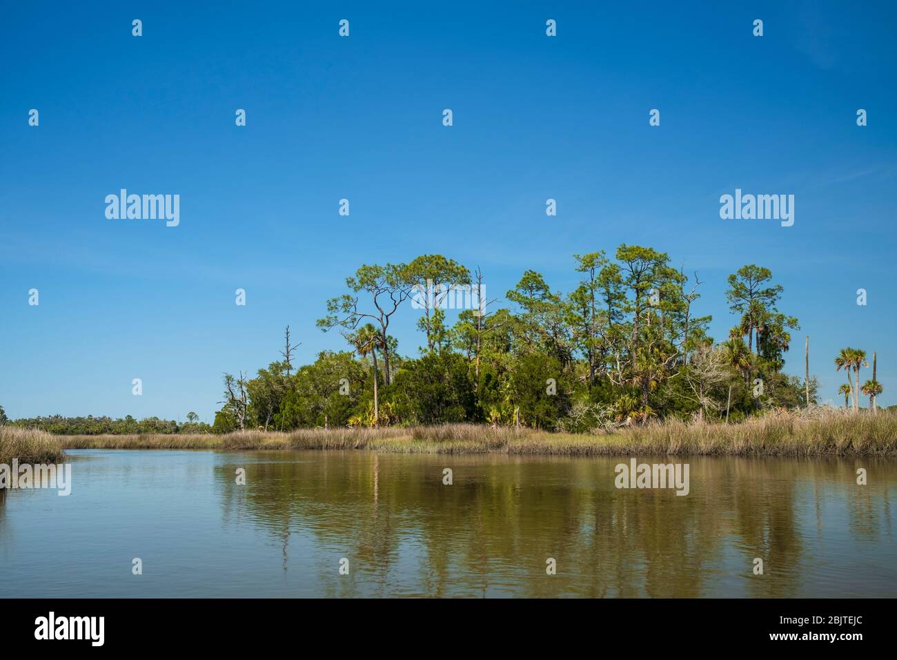 Florida Salt Marsh. Costa del Golfo vicino a Yankeetown, Florida. Panoramica maresca di sale marea costiera con rush, erba, alberi. Comunità costiera naturale della Florida. Foto Stock