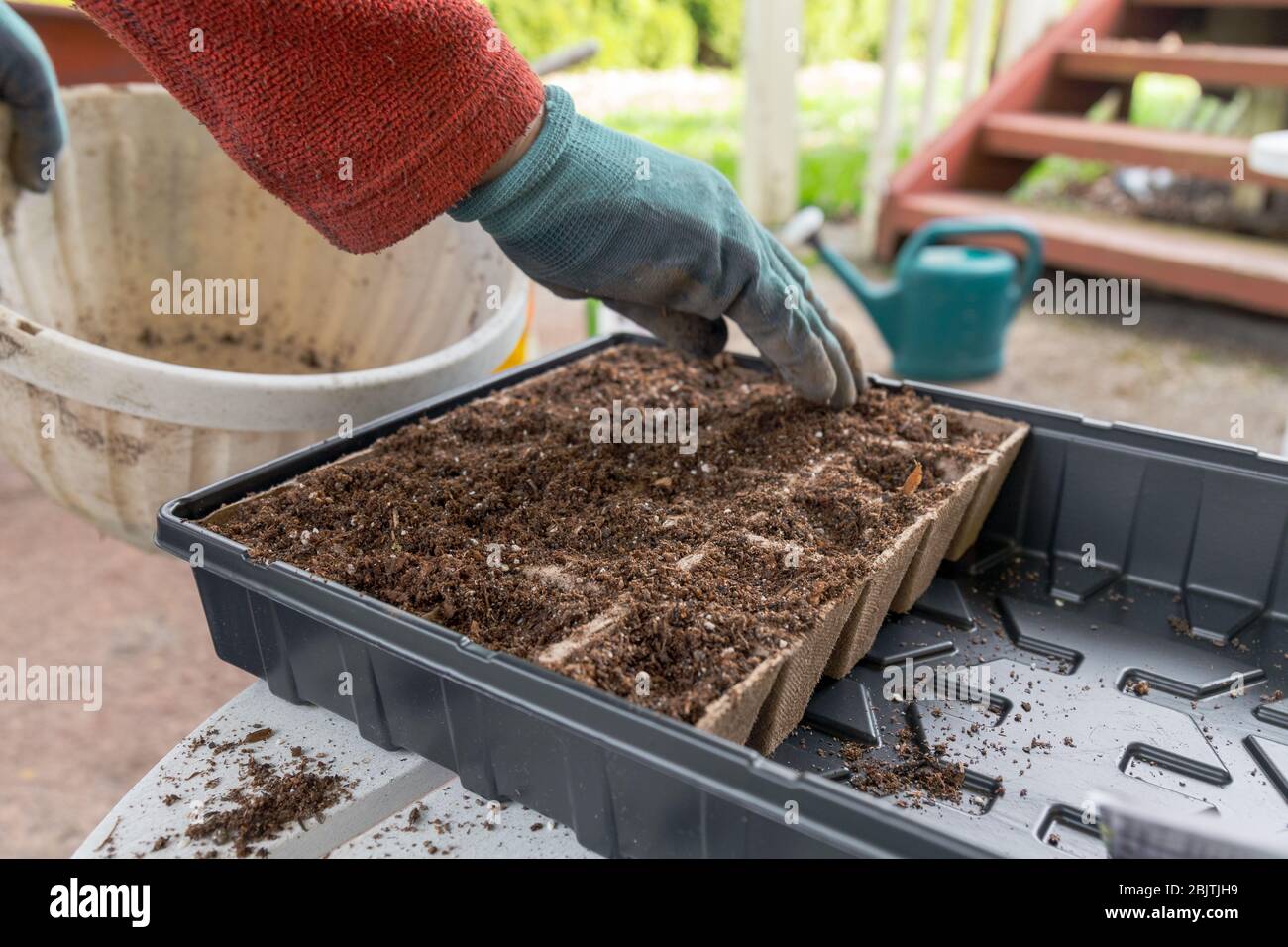 Giardiniere che riempie un Kit di avviamento di seme con suolo in preparazione per piantare Foto Stock