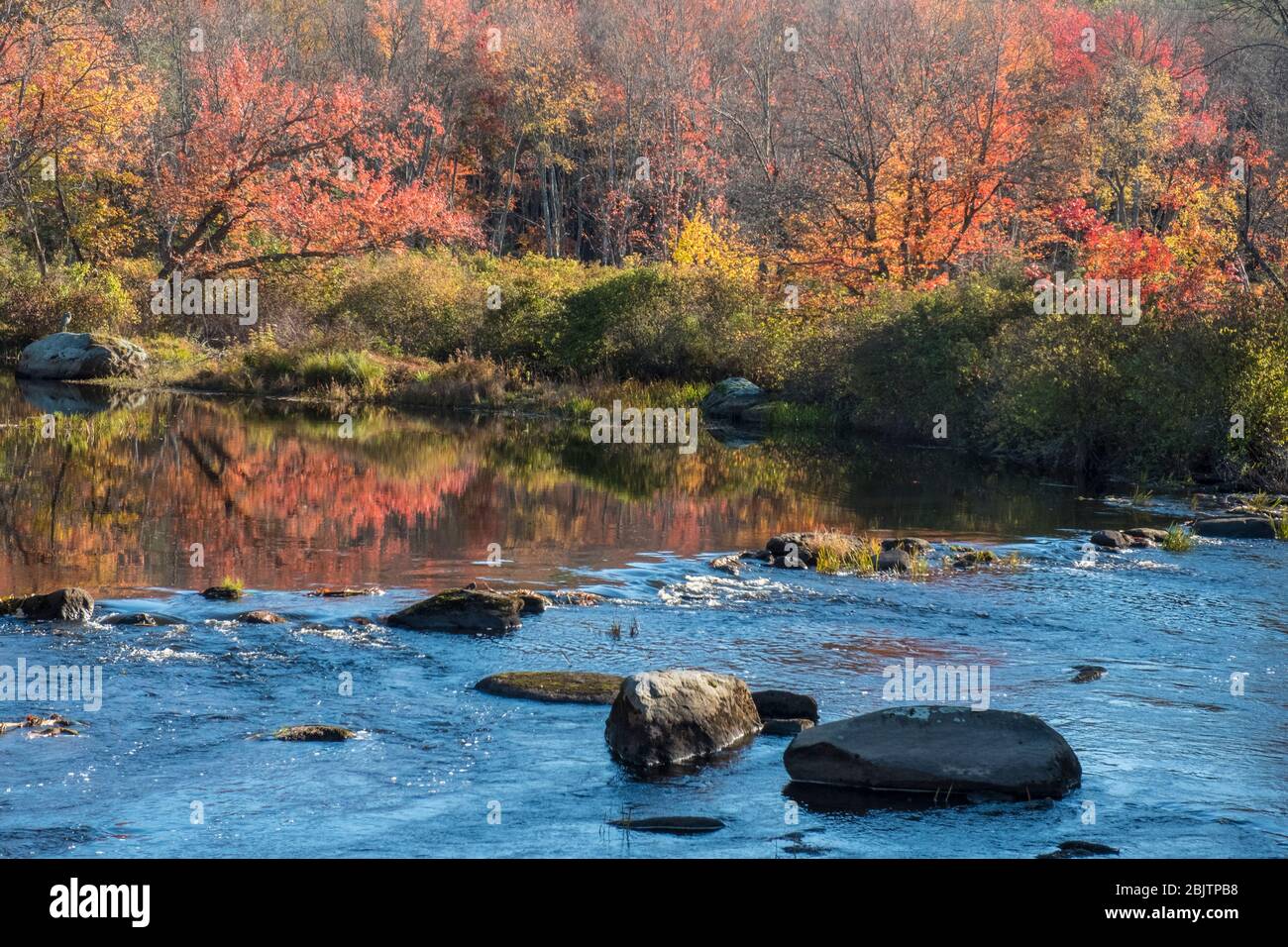 Il fiume Millers alla riserva della diga di Birch Hill, Royalston, ma Foto Stock