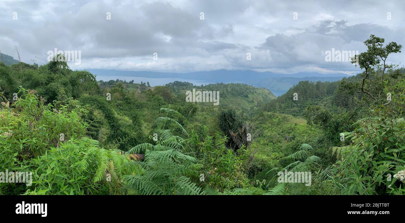 Panorama del bellissimo lago Toba, Sumatra, Indonesia Foto Stock