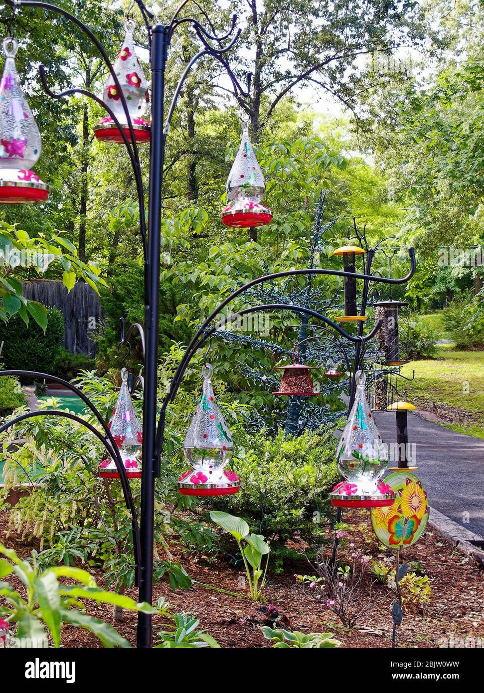 alimentatori multipli di uccello, grande appendiabiti in ferro battuto, per colibrì, seme, giardino, primavera Foto Stock