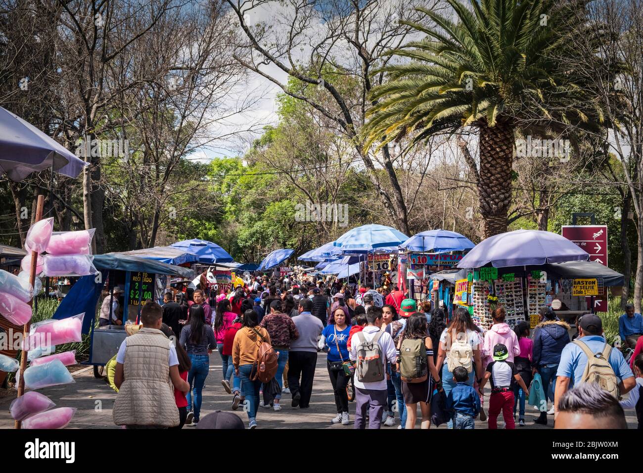 Folle nel Parco Chapultepec in un fine settimana, Città del Messico, Messico Foto Stock