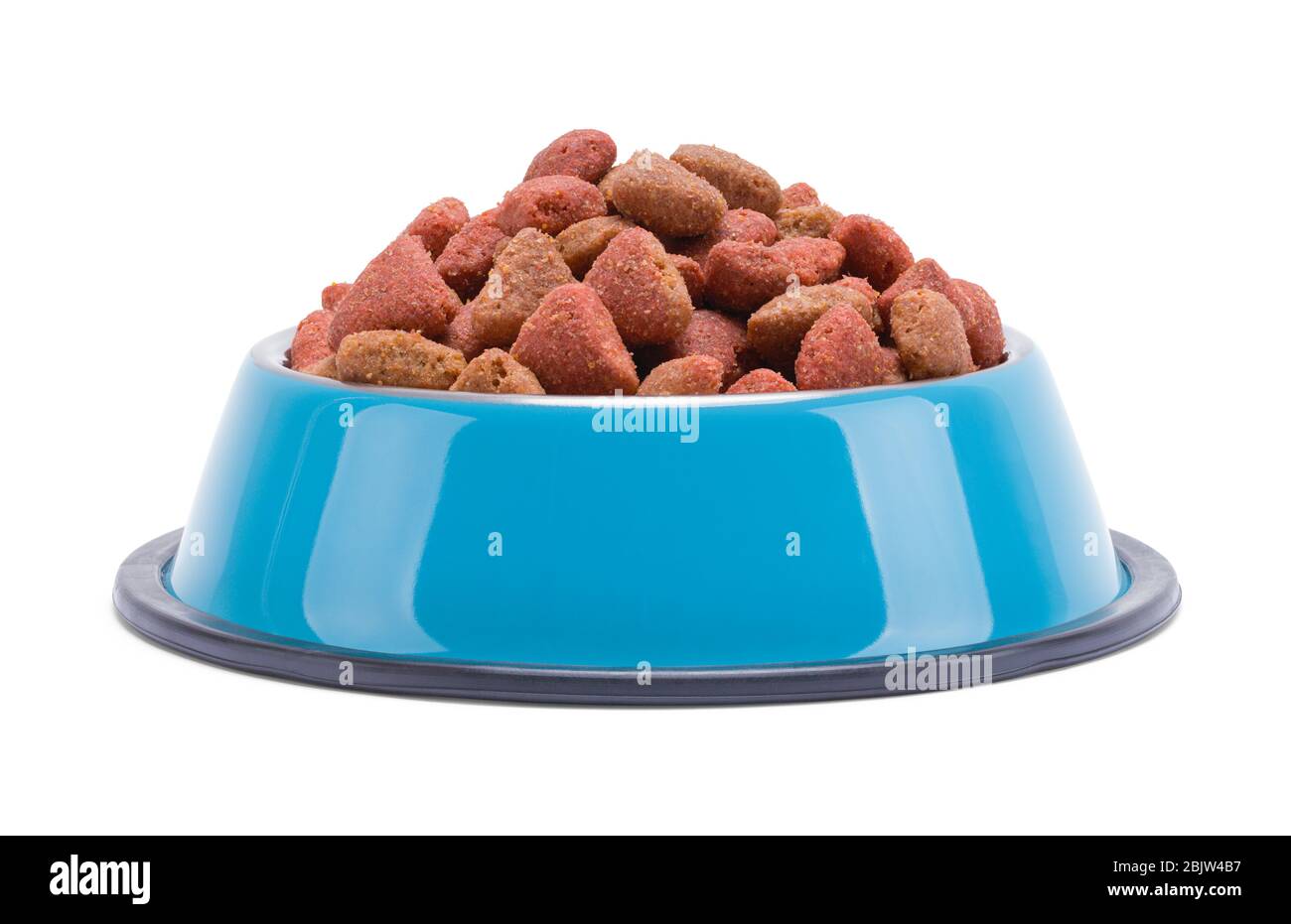 Ciotola completa per l'alimentazione dei cani isolata su sfondo bianco. Foto Stock