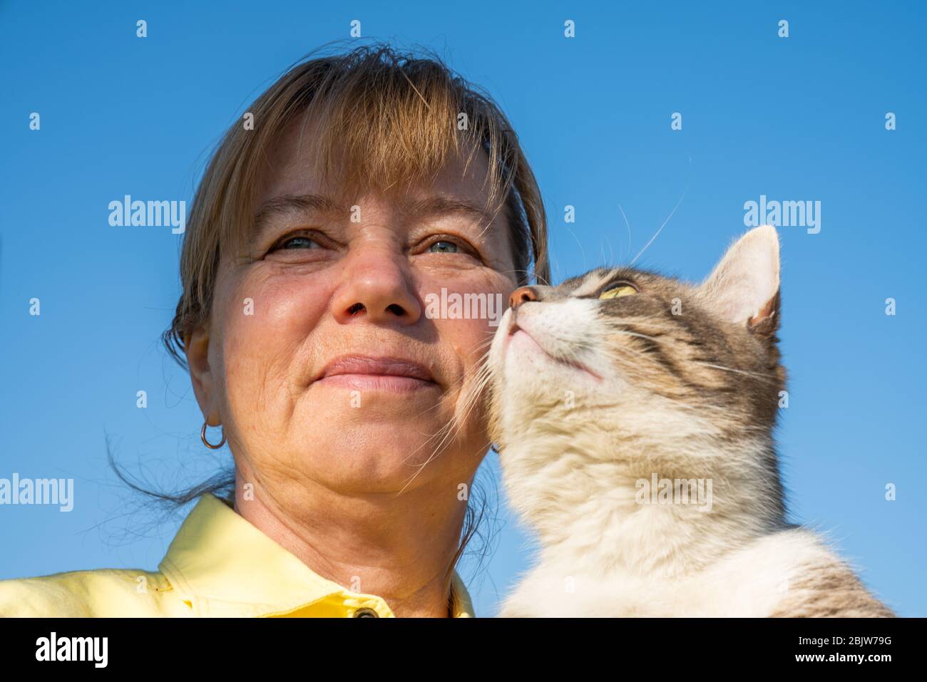 Donna che tiene gatto su sfondo cielo blu all'aperto. Foto Stock