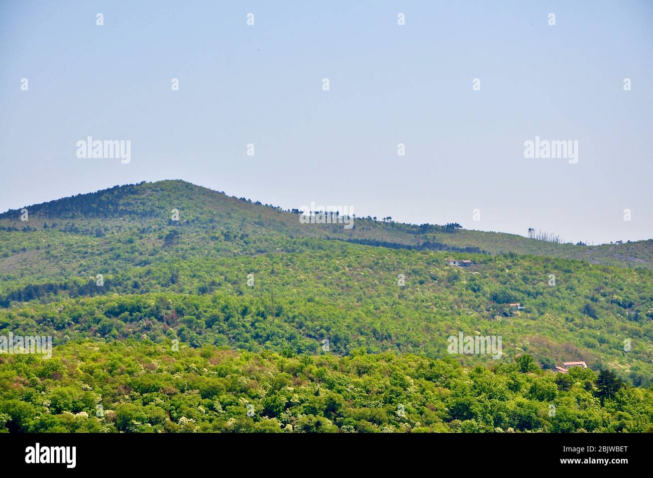 Foreste e verdi colline, Crikvenica e Novi Vinodolski, Croazia. Vista panoramica dall'alto della gamma Novi Vinodol Foto Stock