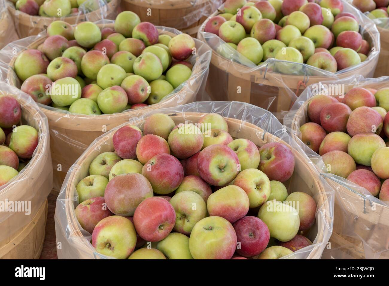 Cesto di mele Foto Stock