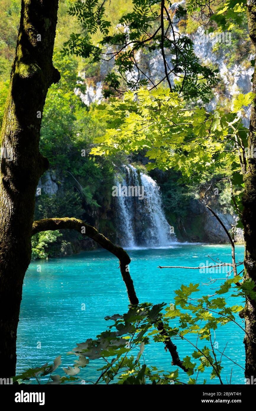 Piccola cascata nel Parco nazionale dei Laghi di Plivce in Croazia. Acqua turchese cristallina. Foto Stock