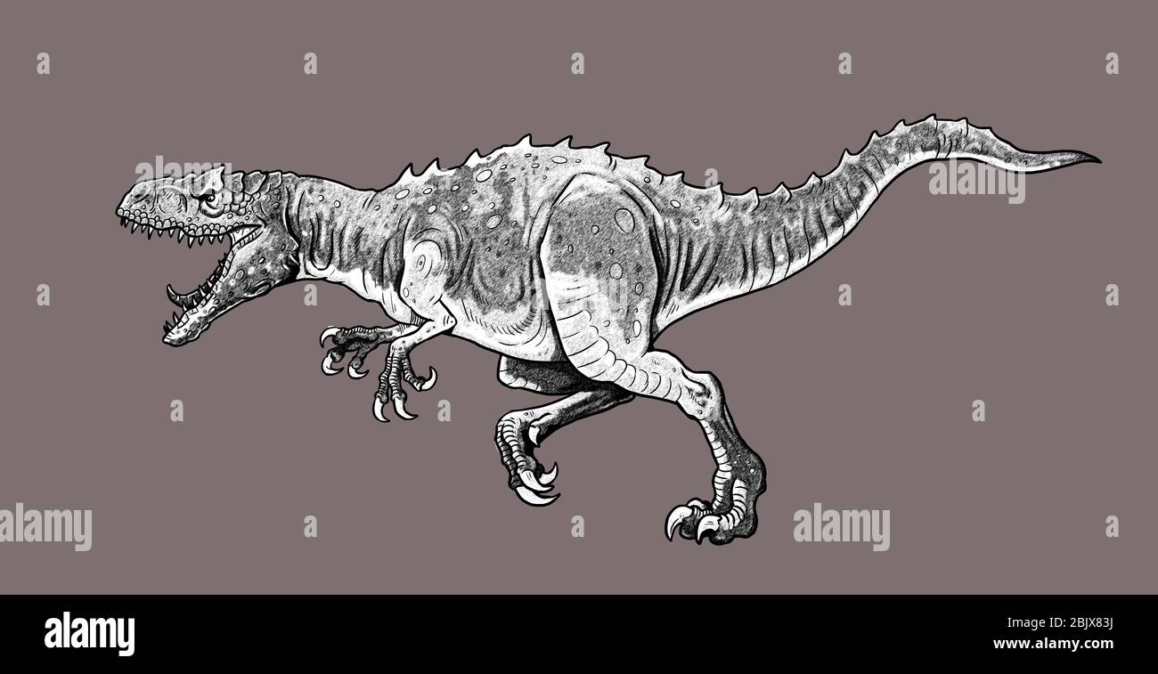 Dinosauro carnivoro - Allosauro. Disegno isolato Dino. Foto Stock