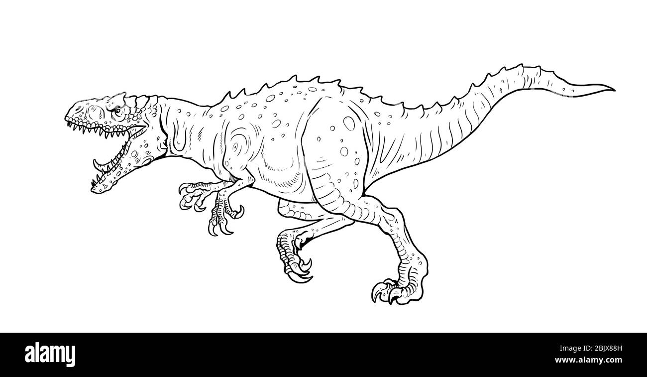 Dinosauro carnivoro - Allosauro. Disegno isolato Dino. Foto Stock