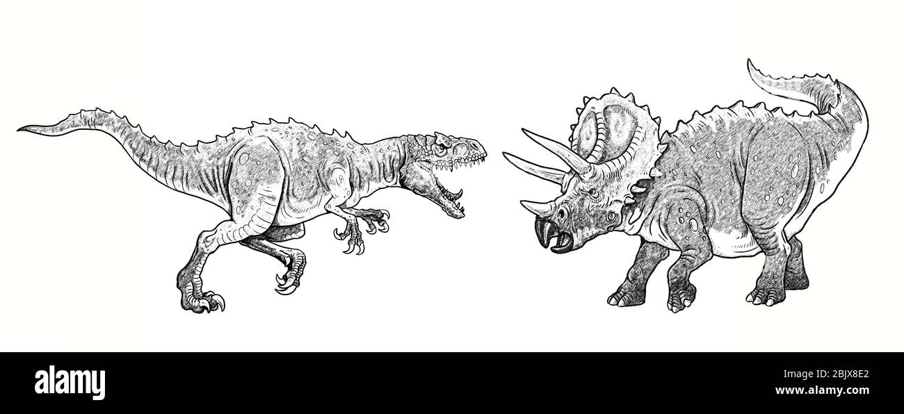Dinosauri lotta. Allosauro contro Triceratops. Dino Fight illustrazione. Foto Stock