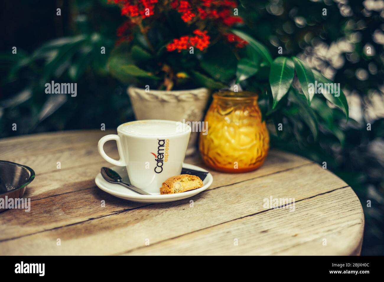 Tazza di latte su tavola rotonda in legno in giardino con sfondo verde. Concetto di bio-food sano tradizionale. Foto Stock