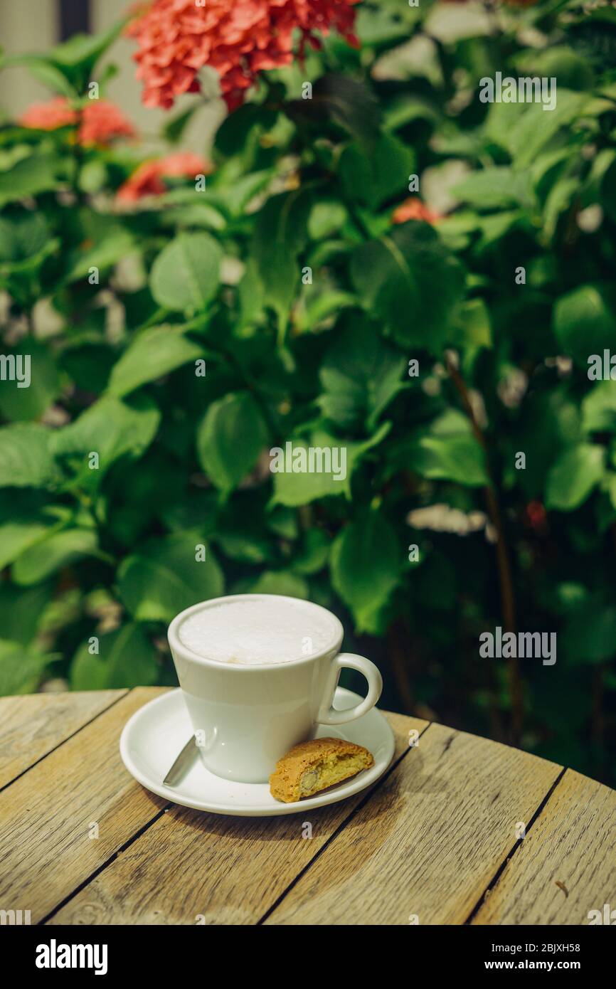Tazza di latte su tavola rotonda in legno in giardino con sfondo verde. Concetto di bio-food sano tradizionale. Foto Stock