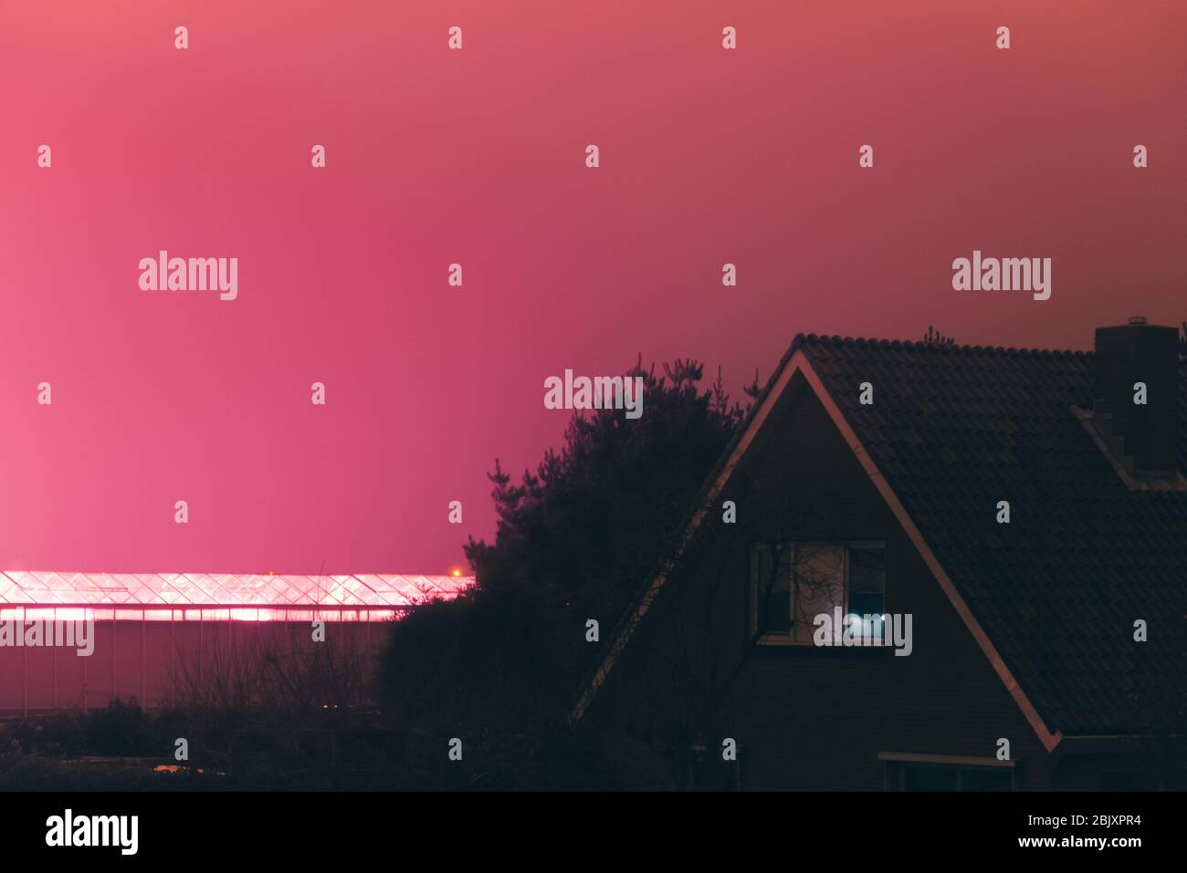 cielo rosa di notte. inquinamento luminoso Foto Stock