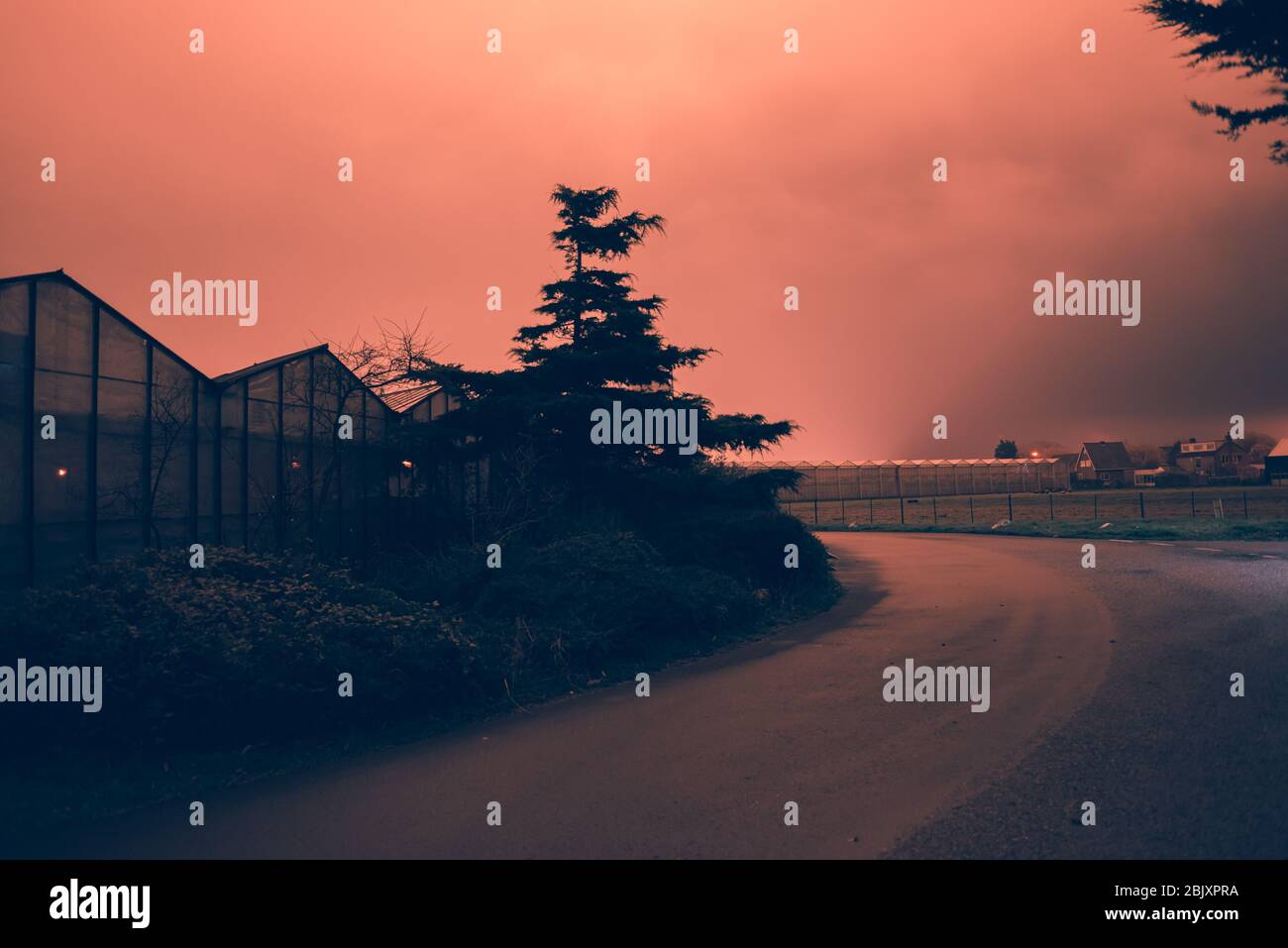 Foto d'arte di un inquinamento luminoso notturno in Olanda, Europa. Foto Stock