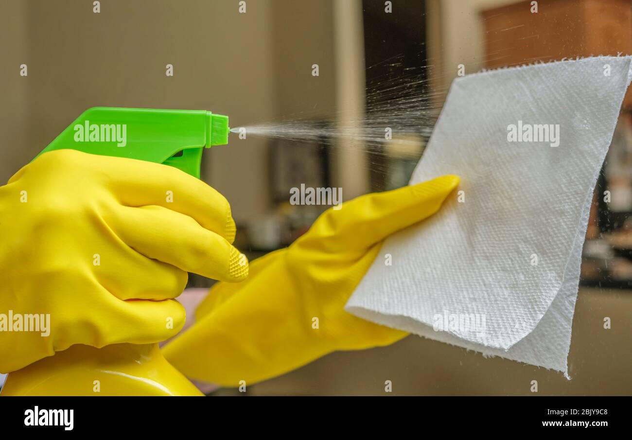 Primo piano della spruzzatura manuale dei guanti disinfectantÂ sul tampone di pulizia Foto Stock