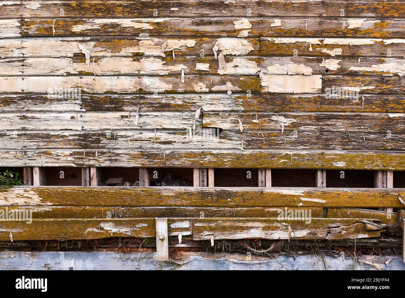 Particolare di parete di legno intemperie Foto Stock