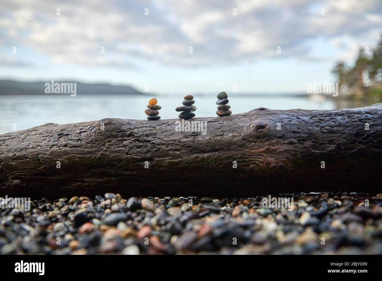 USA, Washington, San Juan County, Orcas Island, Stack di ciottoli in log Foto Stock