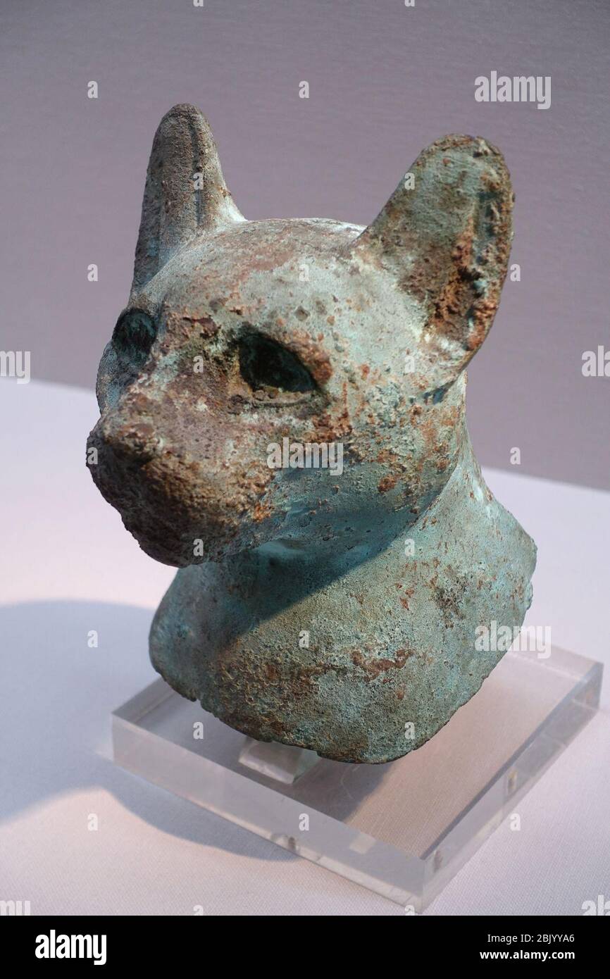 Testa di gatto Santo, Egitto, periodo tardo, c. 664-332 a.C., bronzo Foto Stock