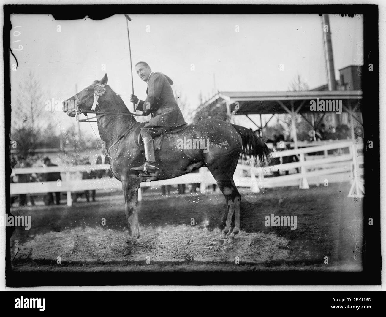 Spettacoli a cavallo. HUGH LEGARE SU 'RED' uccello Foto Stock