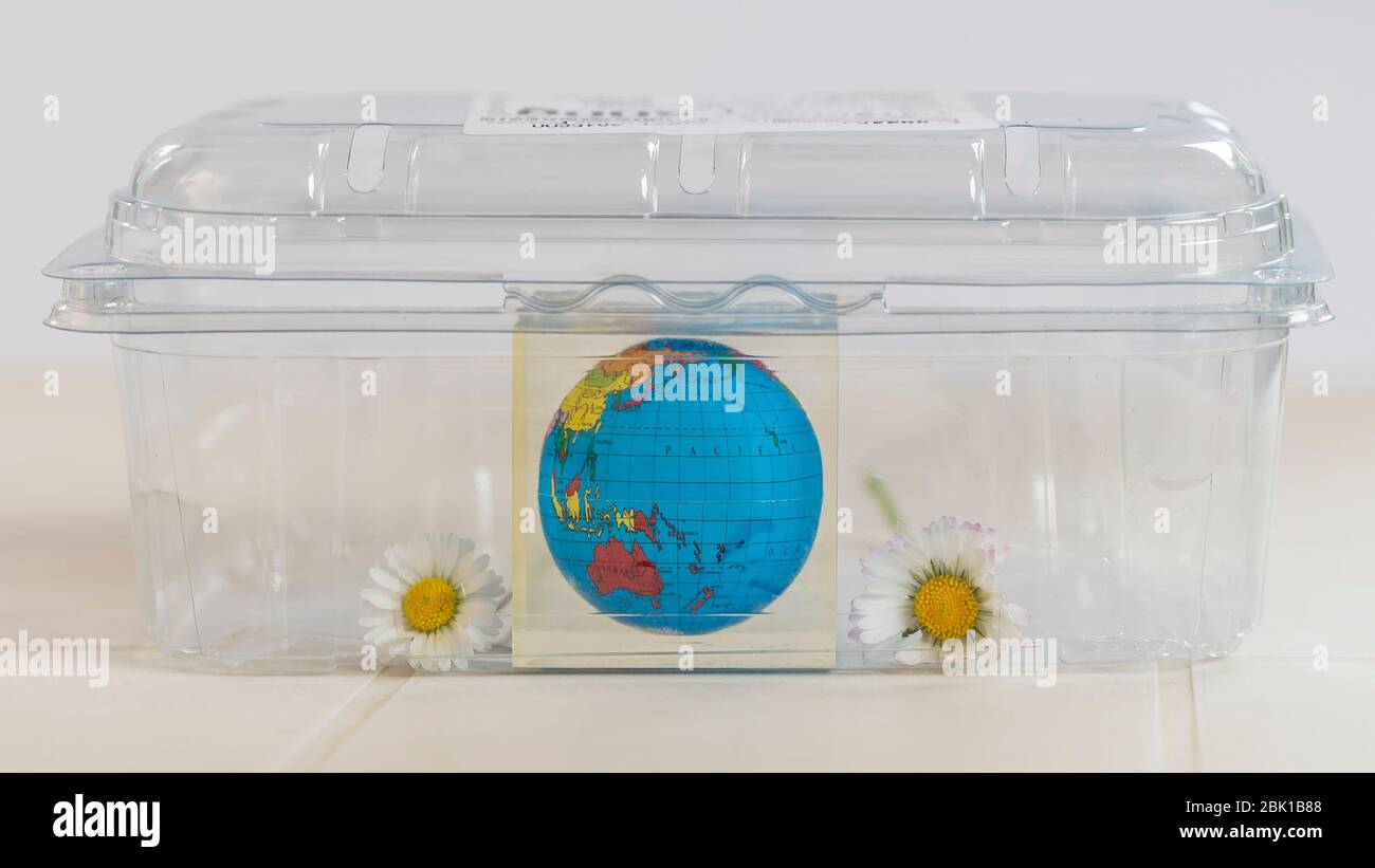 Un pianeta terra e due margherite racchiuse in un contenitore di plastica simboleggiano i gravi problemi ambientali che minacciano il nostro pianeta Foto Stock