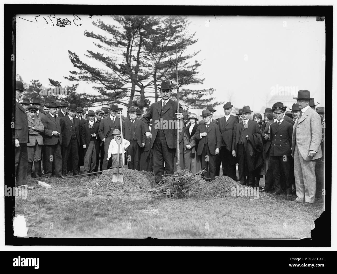 HOUSTON, David Franklin. Segretario di Agricoltura, 1913-1920. Piantare come memoriale di guerra è morta del Dipartimento Agricoltura Foto Stock