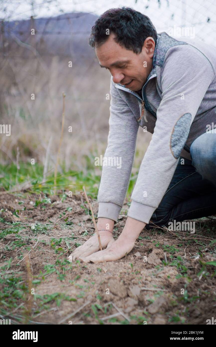 Uomo più anziano che pianta un albero in un campo in una giornata nuvolosa di primavera Foto Stock