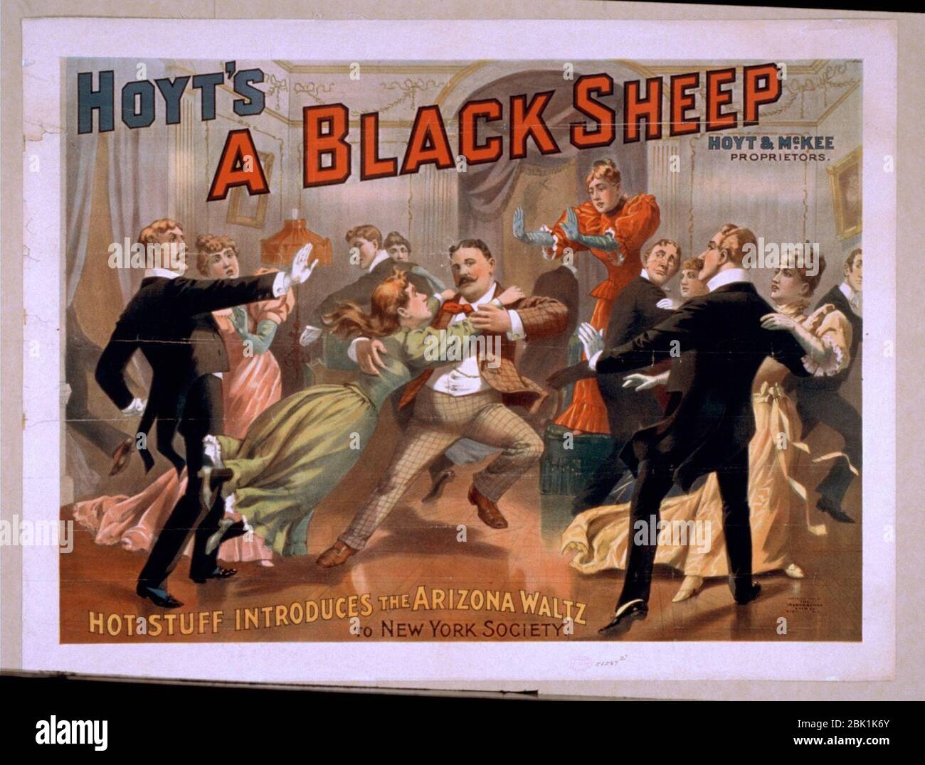 Hoyt's una pecora nera Foto Stock