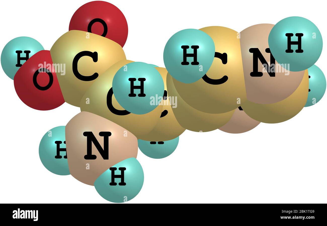 L'istidina (HIS) è un amminoacido con un gruppo funzionale imidazolo. È uno dei 23 aminoacidi proteinogenici Foto Stock