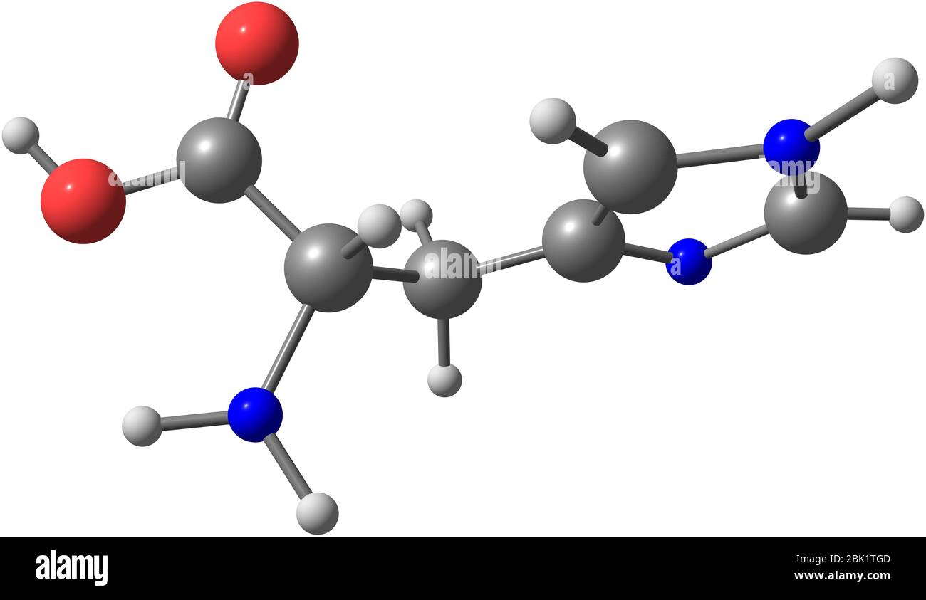 L'istidina (HIS) è un amminoacido con un gruppo funzionale imidazolo. È uno dei 23 aminoacidi proteinogenici Foto Stock