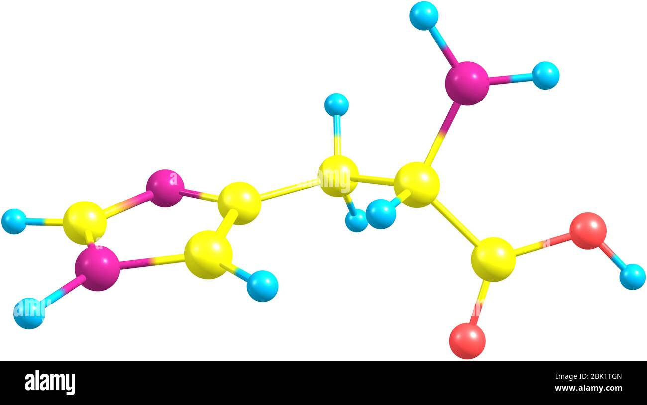 L'istidina (HIS) è un amminoacido con un gruppo funzionale imidazolo. È uno dei 23 aminoacidi proteinogenici Foto Stock