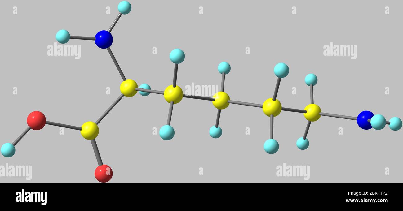 La lisina (Lys) è un amminoacido con la formula chimica HO2CCH(NH2)(CH2)4NH2. È un amminoacido essenziale per gli esseri umani Foto Stock