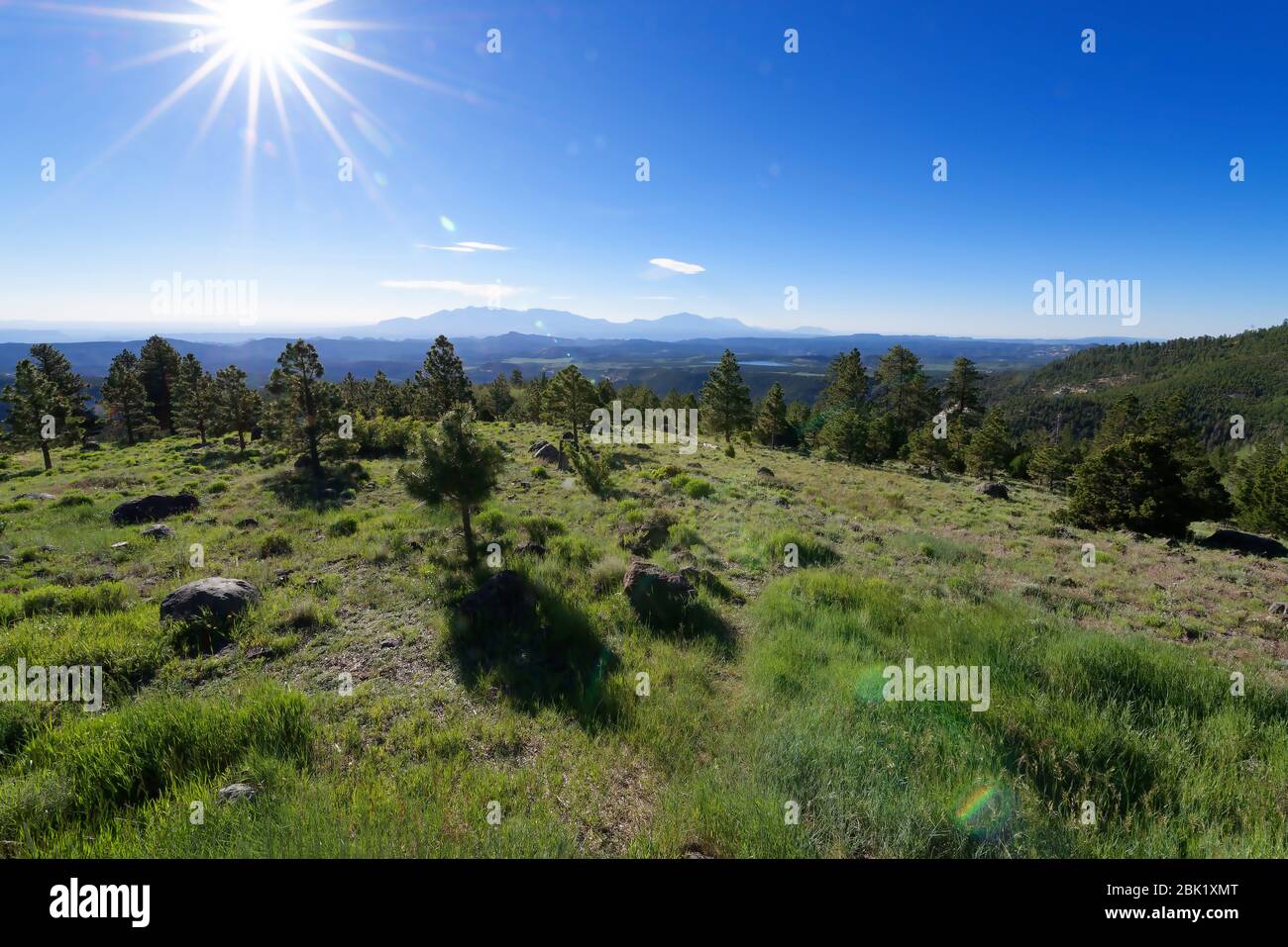 Largo Hollow si affaccia lungo la Utah Scenic Byway 12 vicino a Torrey, Utah Foto Stock