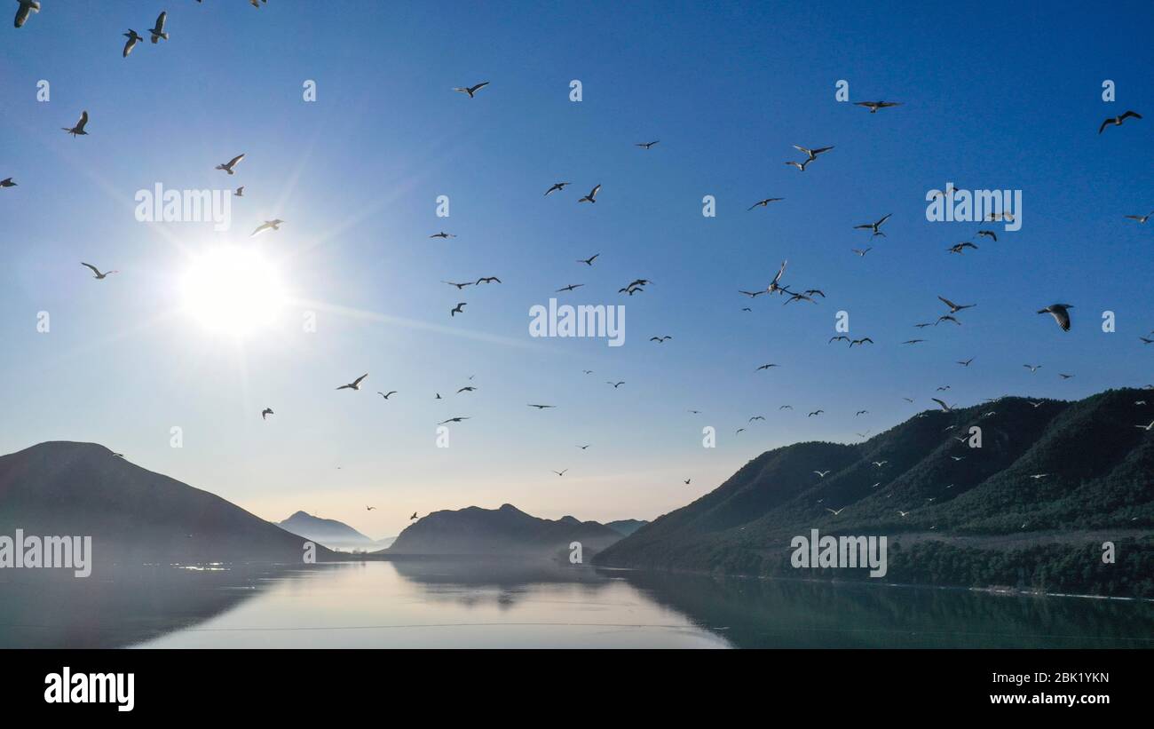 Pechino, provincia cinese di Hebei. 13 Marzo 2020. Foto aeree mostra uccelli che volano su un lago a Zunhua, provincia di Hebei, Cina del nord, 13 marzo 2020. Credit: Liu Mancang/Xinhua/Alamy Live News Foto Stock