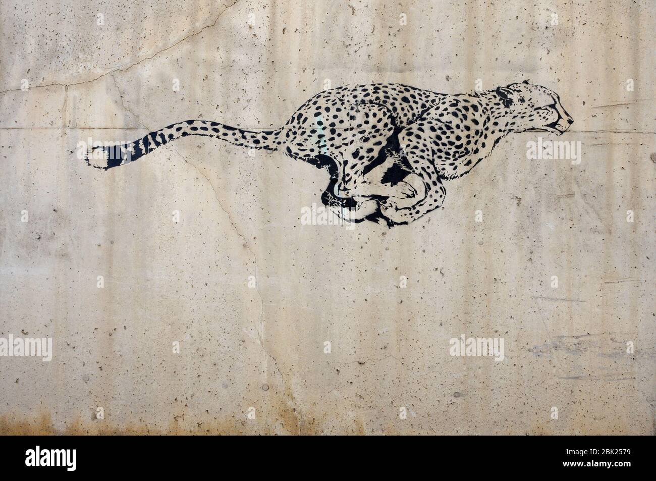 arte di strada , leopardo che corre disegno su un muro di strada . Barcellona Foto Stock