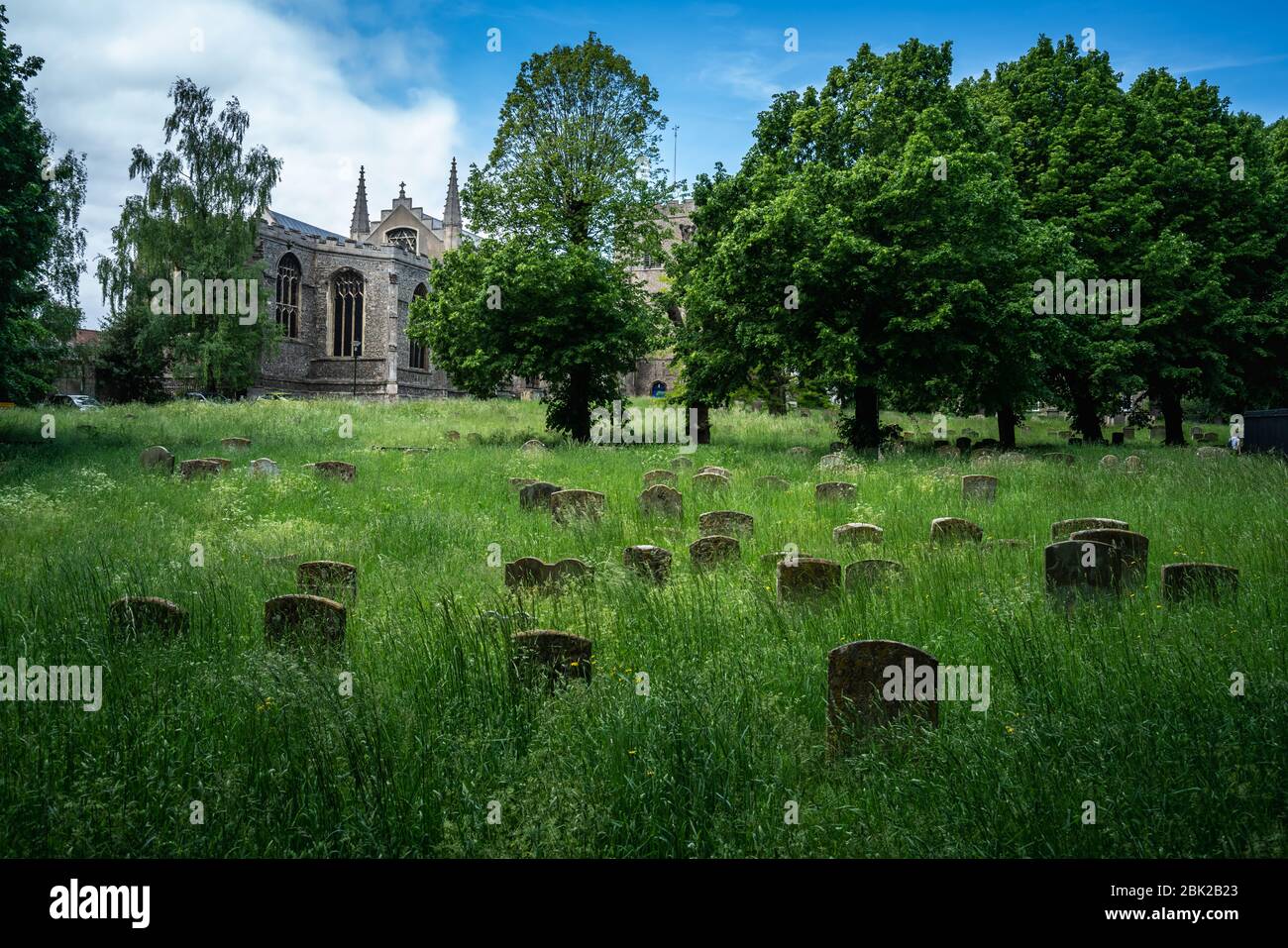 La chiesa di Santa Maria afferma di essere la terza chiesa parrocchiale più grande d'Inghilterra, con la seconda navata più lunga e la più grande finestra occidentale. E 'anche la Chiesa Civica della città, Bury St. Edmunds, e Borough. Foto Stock