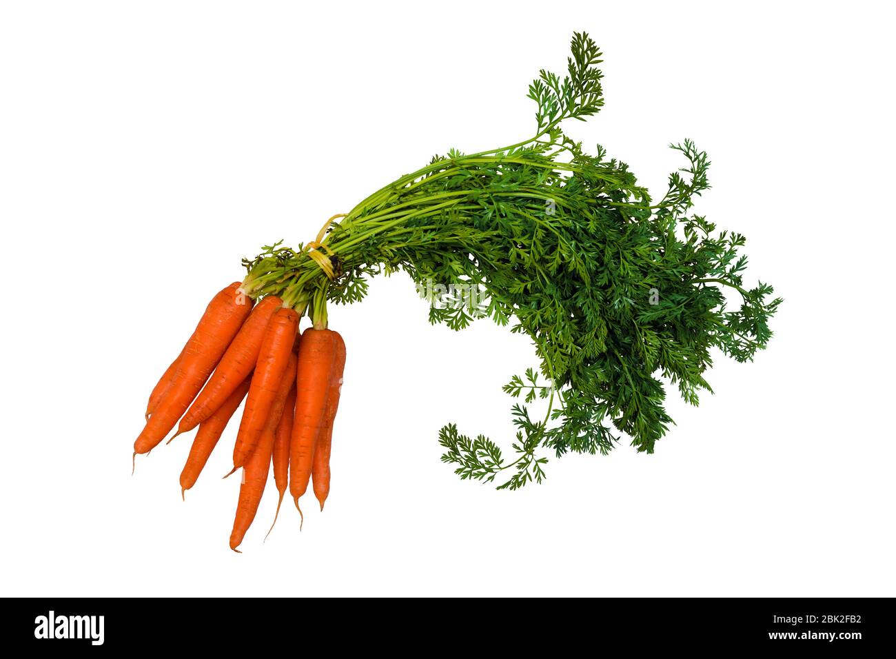 mazzo di carote crude arancioni e verdi su sfondo bianco Foto Stock