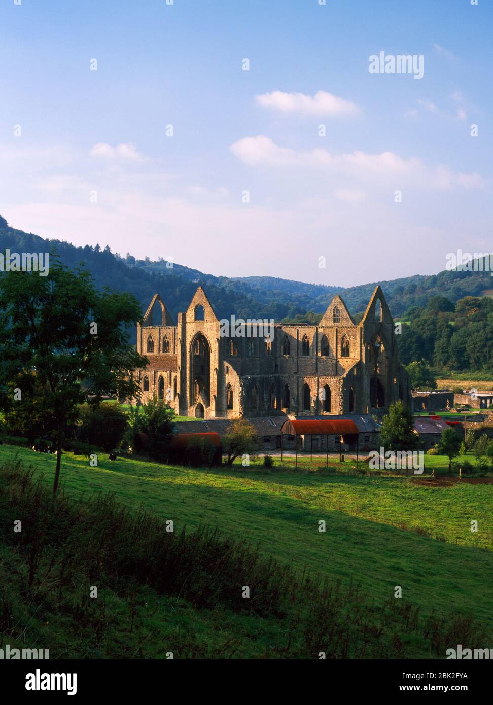 Ammira le rovine del monastero cistercense dell'abbazia di Tintern nella Wye Valley, Monmouthshire, Galles, Regno Unito. Fondata nel 1131 da Norman lord Walter de Clare. Foto Stock