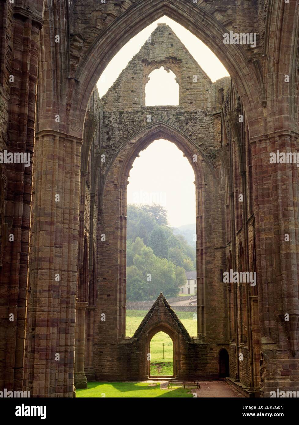 Vista S, dal transetto N, del transetto di traversata & S della chiesa monastica cistercense dell'abbazia di Tintern, Monmouthshire, Galles, Regno Unito. Fondata nel 1131. Foto Stock