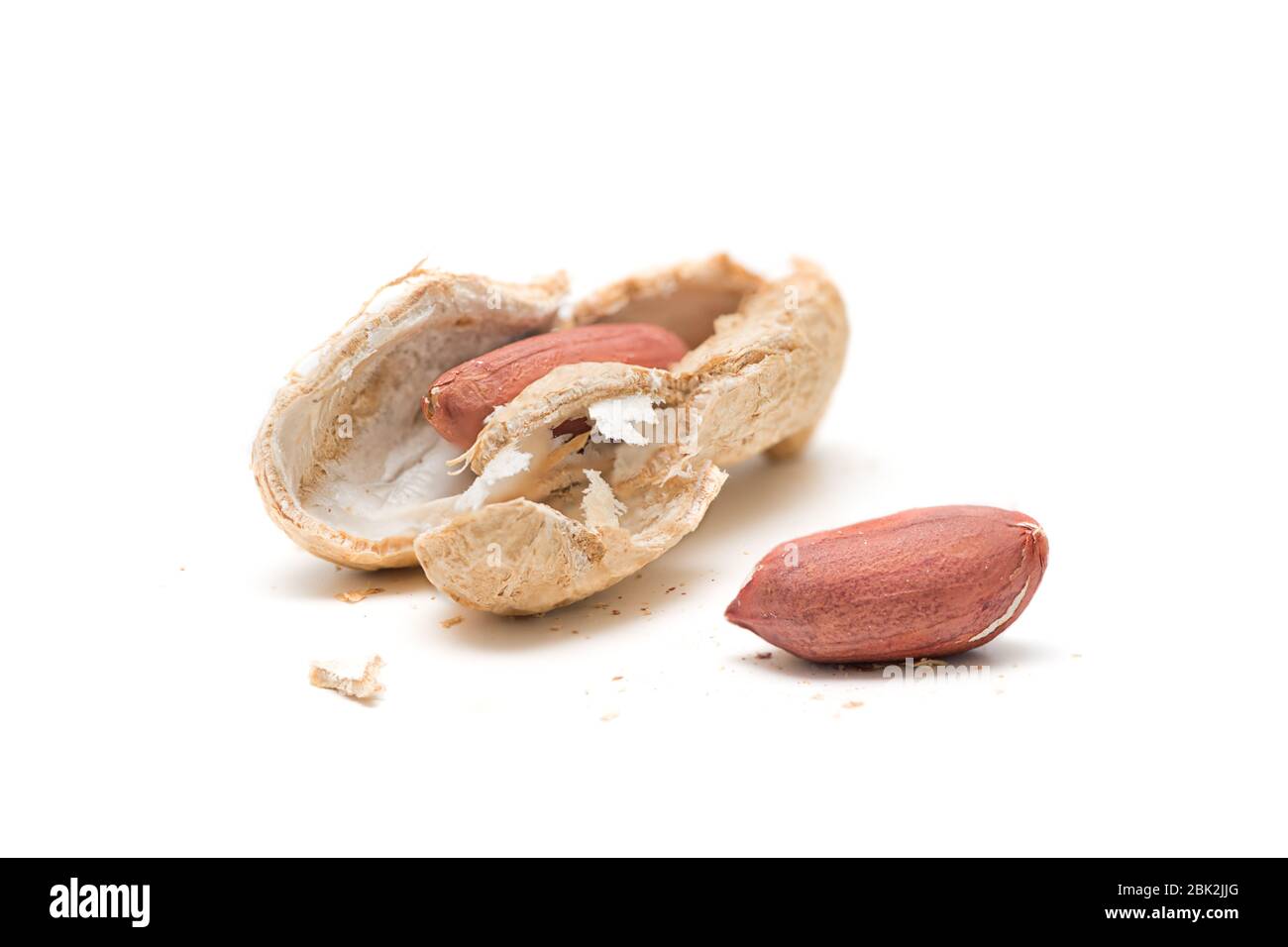 vista ravvicinata di un guscio di arachidi cruda aperto con due noci su sfondo bianco Foto Stock