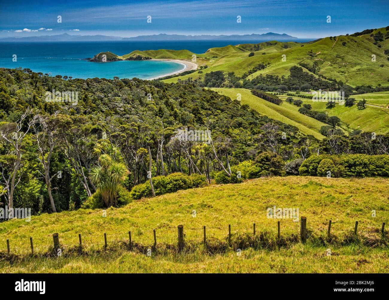 Area di Port Jackson, Great Barrier Island in Distance, vista da Port Jackson Road, Penisola di Coromandel, Regione di Waikato, Isola del Nord, Nuova Zelanda Foto Stock