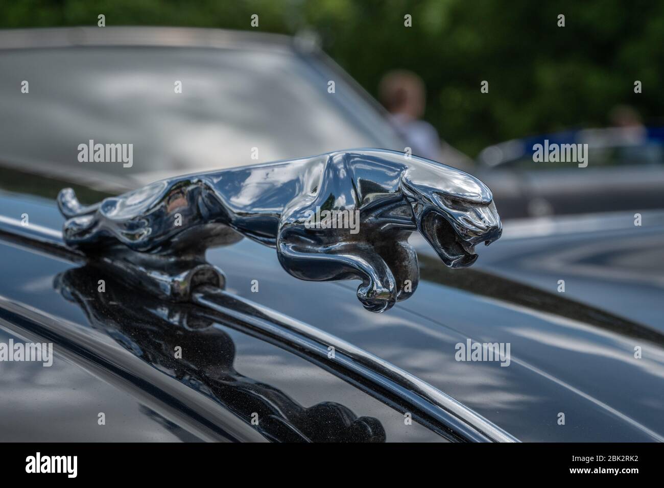 Auto Jaguar classica scultura del cofano di un gatto Jaguar salto. Foto Stock