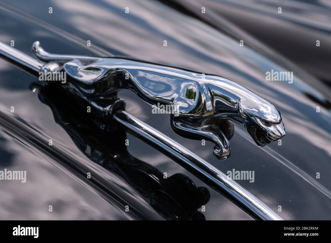Auto Jaguar classica scultura del cofano di un gatto Jaguar salto. Foto Stock