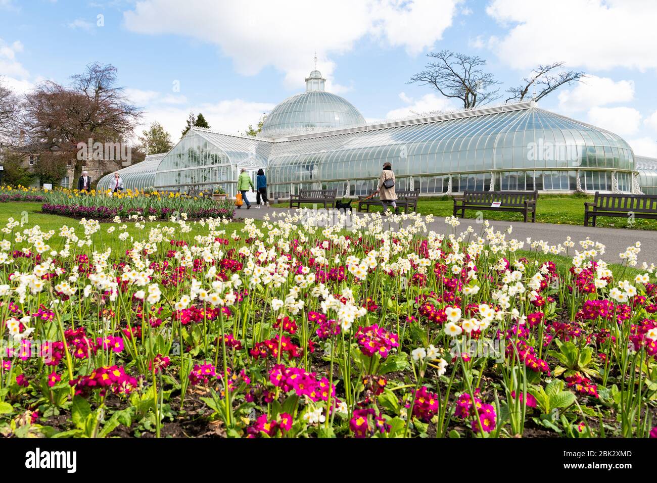 Glasgow, Scozia, Regno Unito. 1° maggio 2020. Tempo nel Regno Unito: Gli amanti dello shopping e la gente che si allenano quotidianamente con il lucchetto godendosi le esposizioni di fiori di primavera in una luminosa mattinata al sole ai Glasgow Botanic Gardens. Gli avvisi sui banchi ricordano a tutti circa il credito sociale di allontanamento: Kay Roxby/Alamy Live News Foto Stock