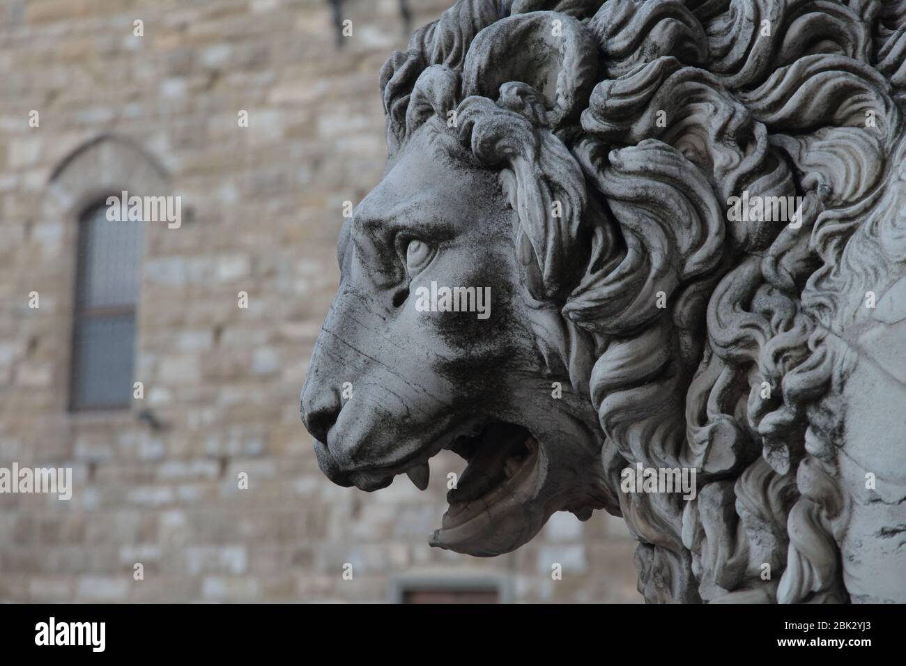 FIRENZE, ITALIA - Maggio 23 2019: Piazza della Signoria, particolare del leone Foto Stock