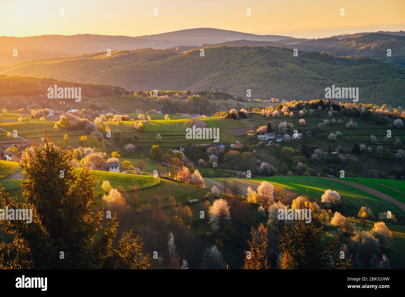 Luce arancione e gialla alba primavera in bella fioritura rurale paesaggio. Hrinova, Slovaki Europa. Maestosa luce nelle montagne lan Foto Stock