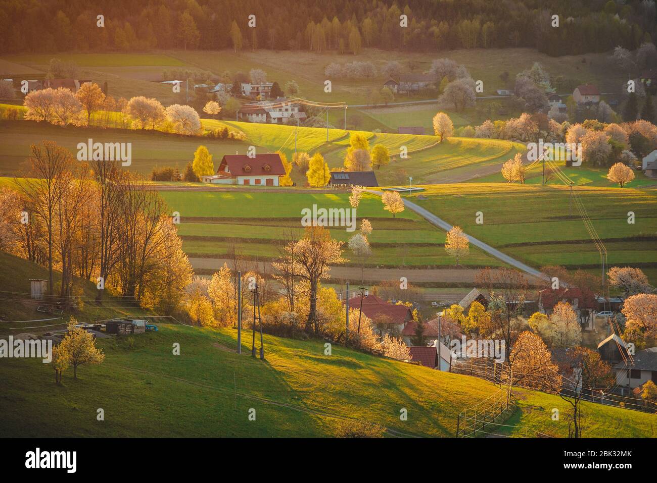 Luce del mattino nel paesaggio primaverile. Bei campi agricoli rurali verdi, piccole case, alberi in fiore, luce calda alba. Slovacchia, Europa Foto Stock