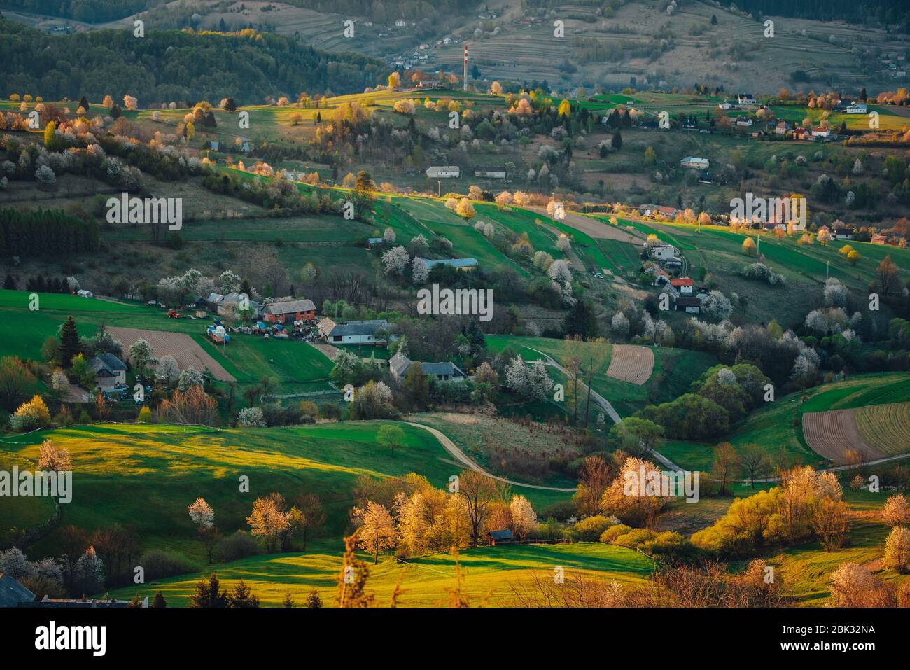 Alba primaverile in un paesaggio rurale con ciliegie fiorite, campi verdi e piccole case. I primi raggi del sole nel villaggio Hrinov Foto Stock