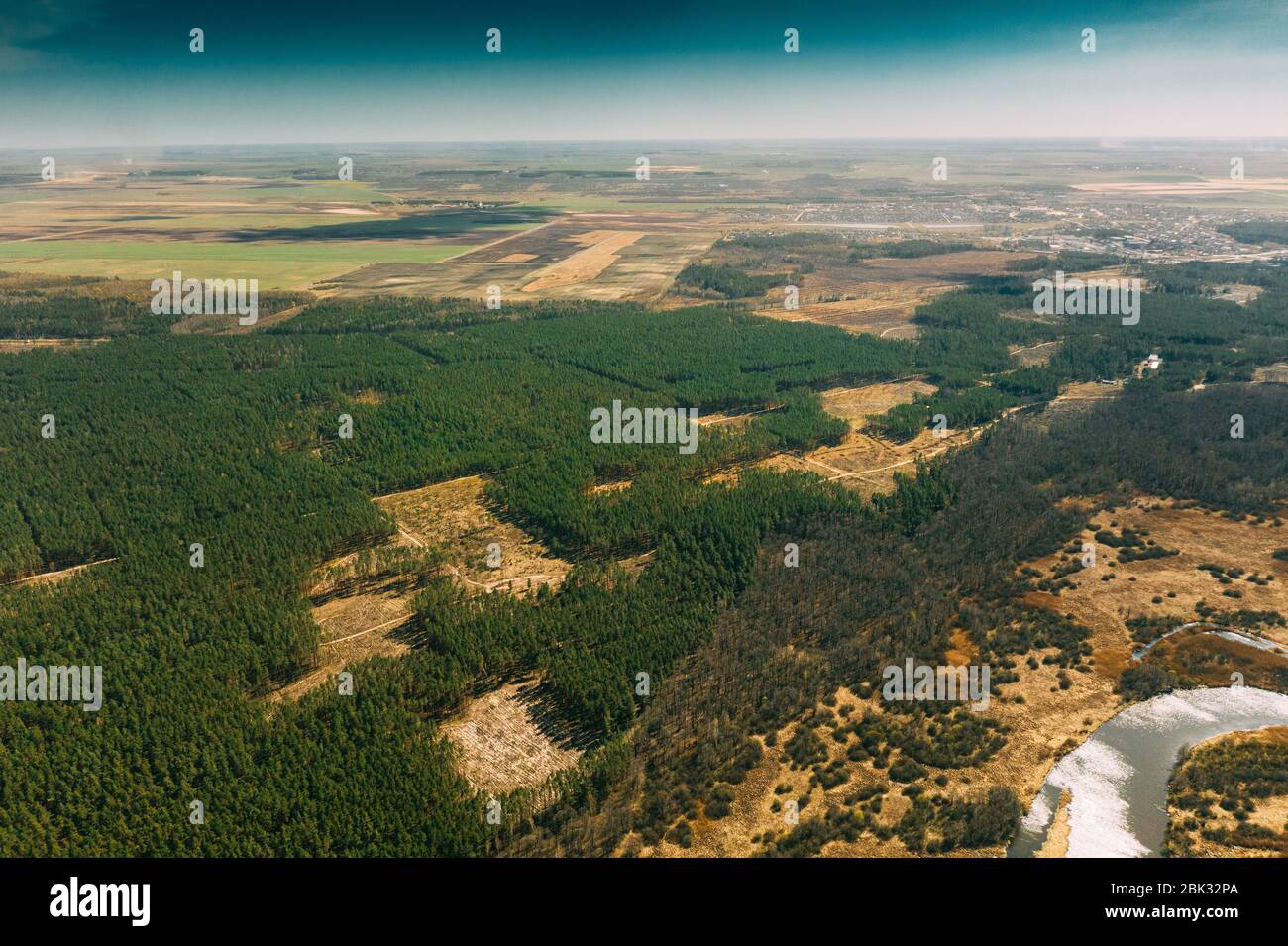 Veduta aerea del paesaggio dell'area di deforestazione. Foresta di Pine Verde nella zona di deforestazione. Vista dall'alto del paesaggio forestale. Vista drone. Vista panoramica. Foto Stock