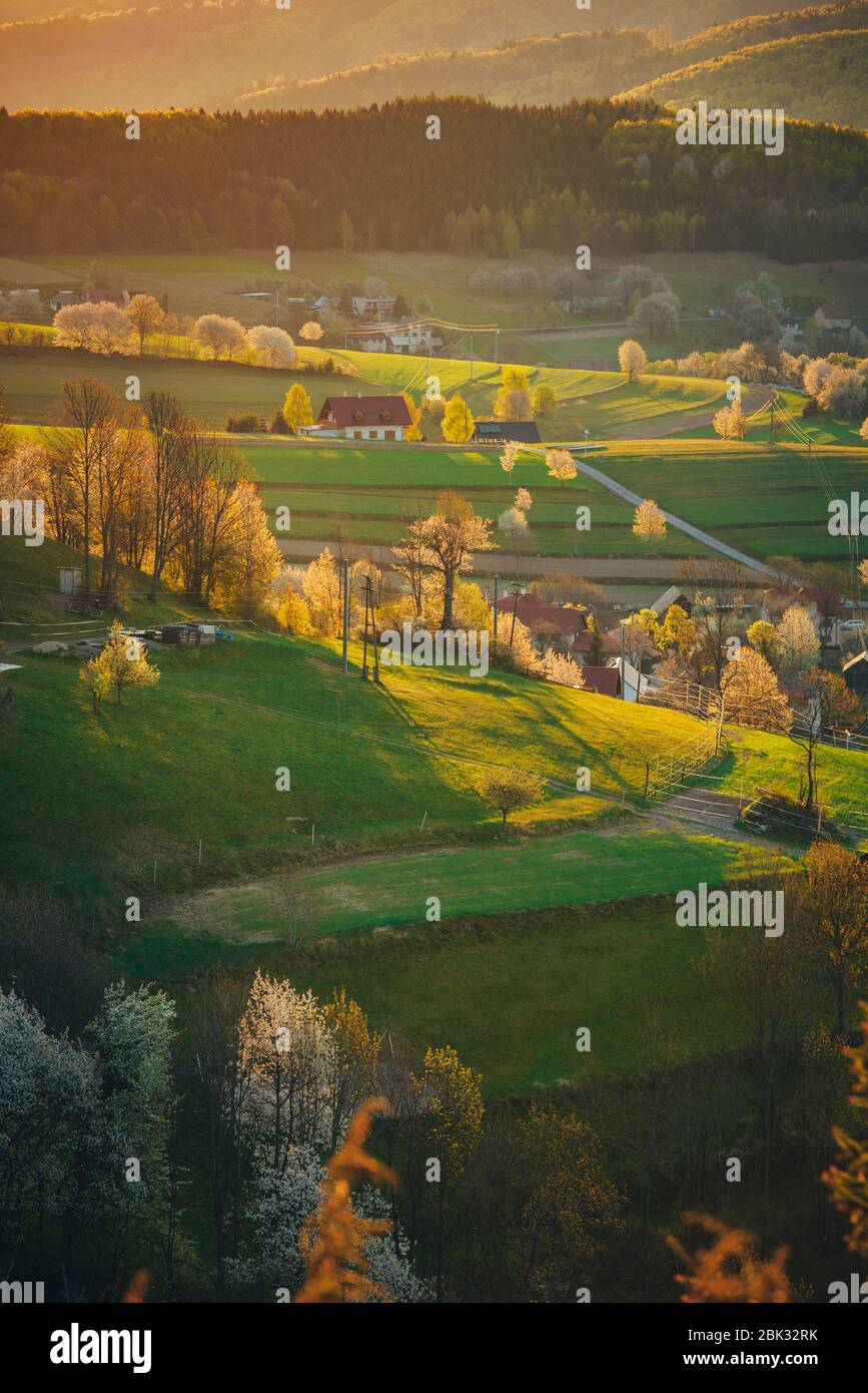 Maestosa luce nel paesaggio rurale delle montagne primaverili. Sole illumina i ciliegi in fiore e prati verdi e campi agricoli. Villaggio Hrinova i Foto Stock